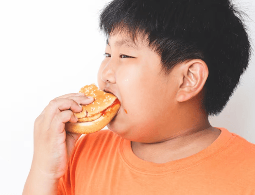 Tak Membatasi Makanan Anak Dapat Mengakibatkan Obesitas
